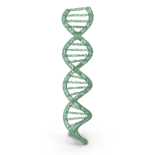 DNA