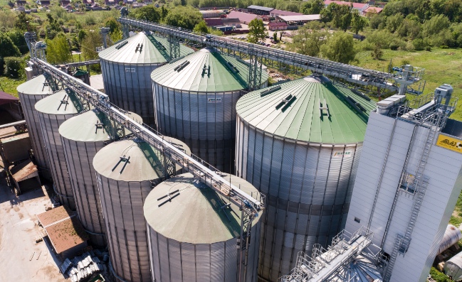 История агопромышленного комплекса Залесье