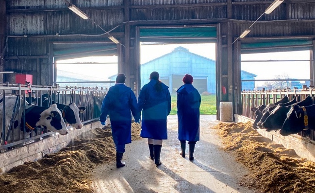 История агопромышленного комплекса Залесье