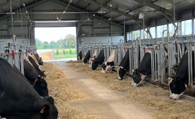 История агопромышленного комплекса Залесье