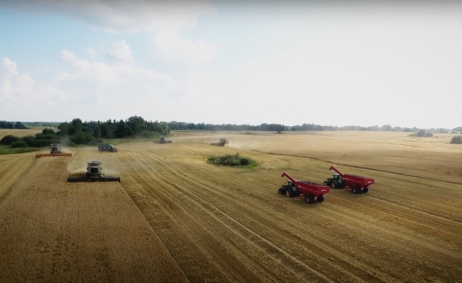 История агопромышленного комплекса Залесье